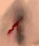 Neck Bck1.png