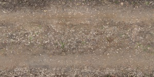 TexturesCom RoadsDirt0082 1 seamless S.jpg