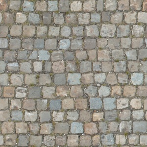 TexturesCom FloorStreets0070 1 seamless S.jpg